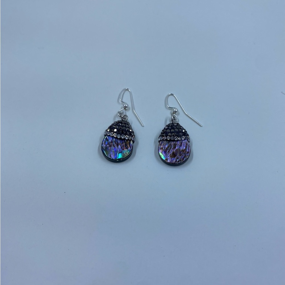 Earrings- Paua Shell - image 3